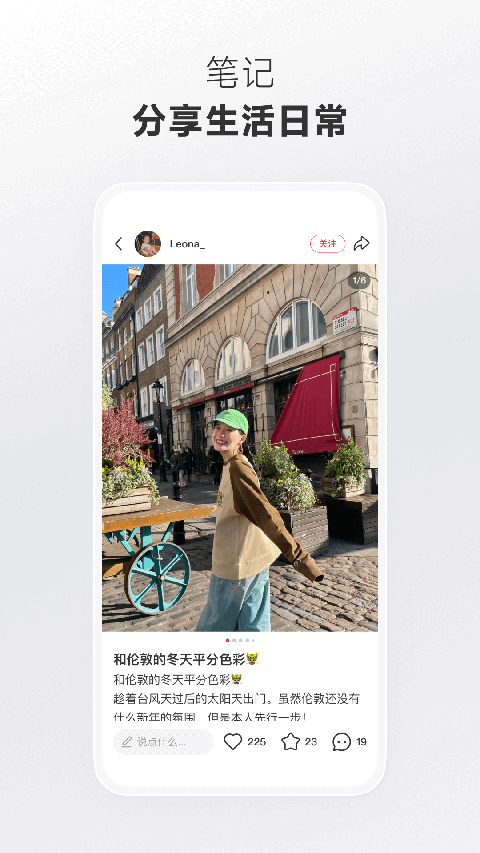 狐狸尾巴扫过沙漠生成发光绿洲树壁纸